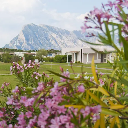 酒店 Grande Baia & 4*